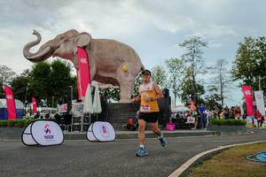 BIB: 
                            <button type="button" onclick="openModal(26528842)" class="btn btn-primary btn-sm float-right btn-popup" data-toggle="modal" data-target=".modal-high-quality">
                        <i class="fas fa-shopping-cart"></i> Add to Cart
                    </button>
                                            <button type="button" onclick="isThisMe(26528842, true)" class="btn btn-success btn-sm float-right btn-popup btn-isme hidden" data-toggle="tooltip" data-placement="bottom" title="นี่คือรูปของคุณใช่ไหม คลิกที่นี่เพื่อเอาเข้าอัลบั้ม">
                        <i class="fas fa-plus"></i> Add to album
                    </button>
                    <button type="button" onclick="isThisMe(26528842, false)" class="btn btn-warning btn-sm float-right btn-popup btn-isnotme hidden">
                        <i class="fas fa-ban"></i> Remove from album
                    </button>